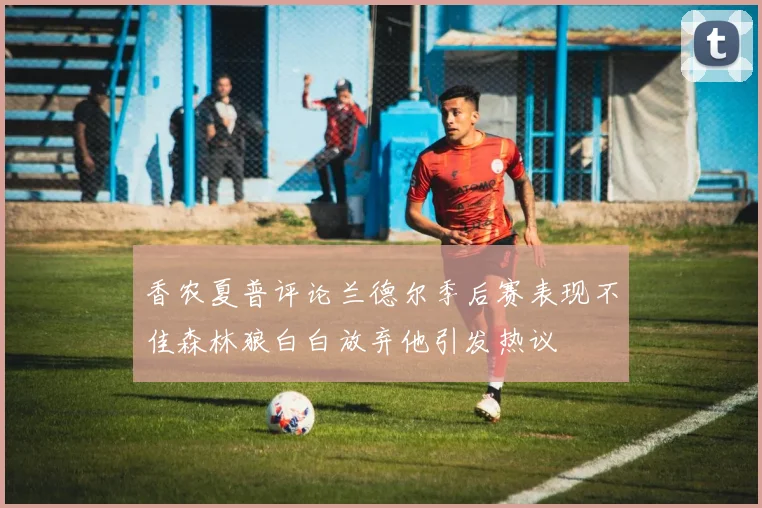 香农夏普评论兰德尔季后赛表现不佳森林狼白白放弃他引发热议